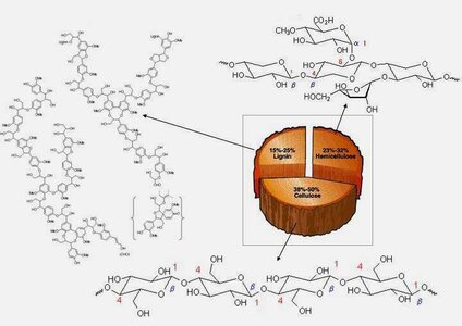 01-Chemical-structures-of-wood-constituents-23.jpg