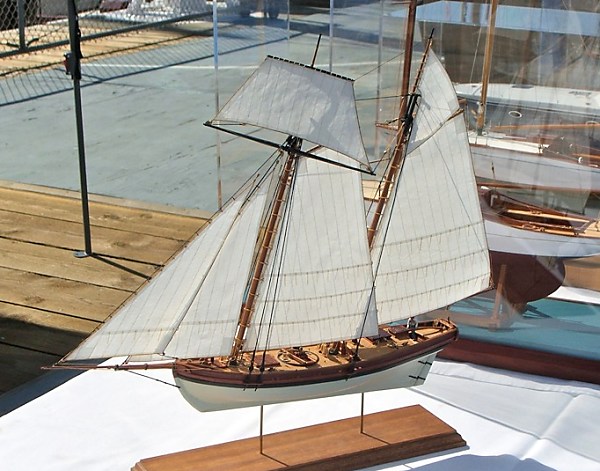 Image of Privateer Lively