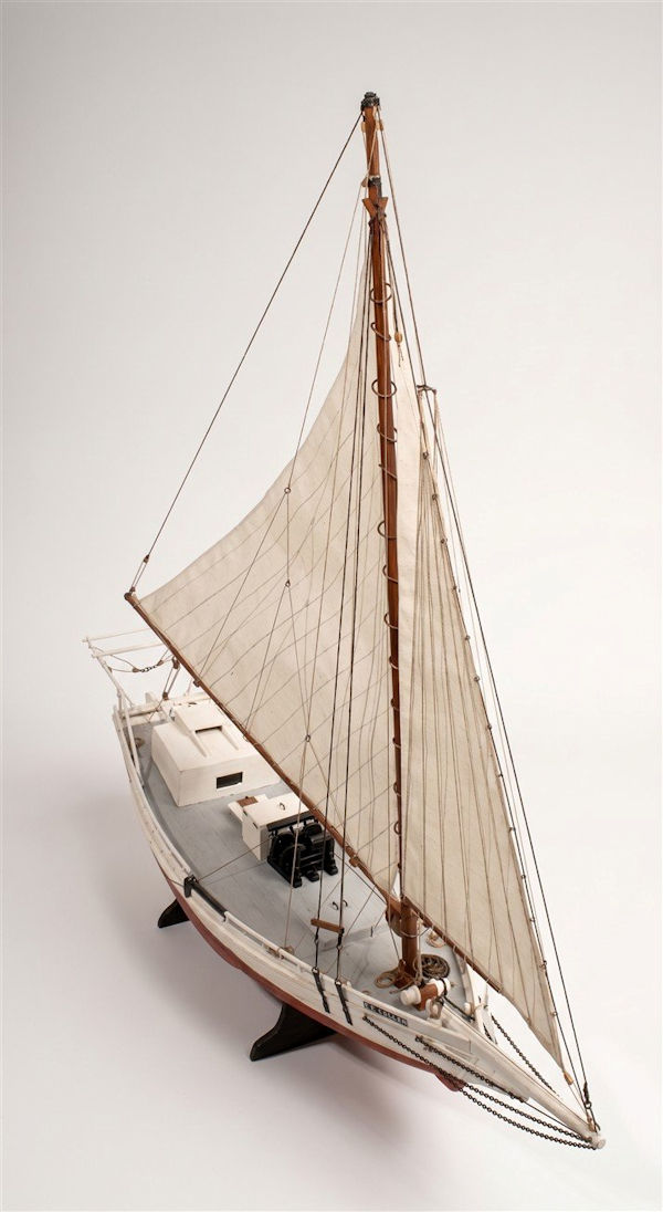 Image of Skipjack