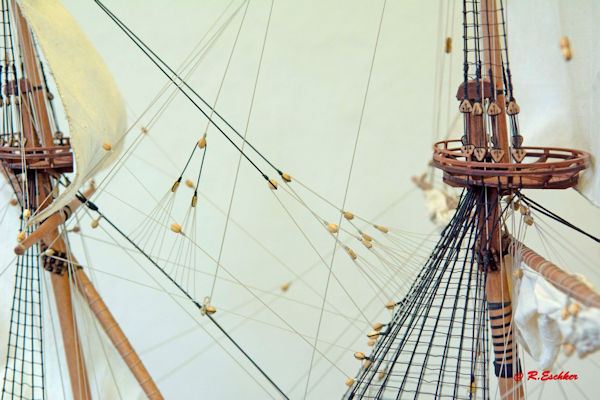Image of Vasa