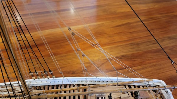 Image of Bluenose