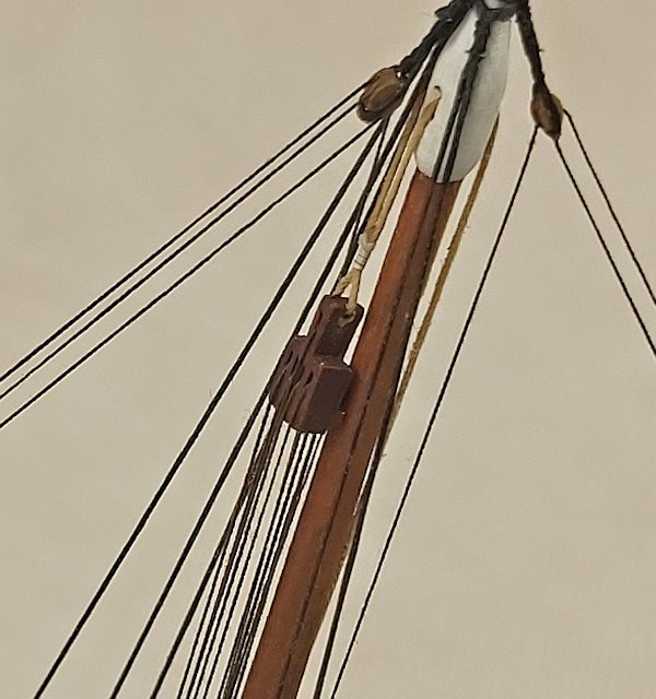 Image of Leudo Vinaccere