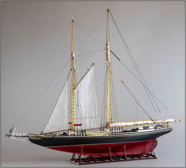 Image of Yuanqing Bluenose