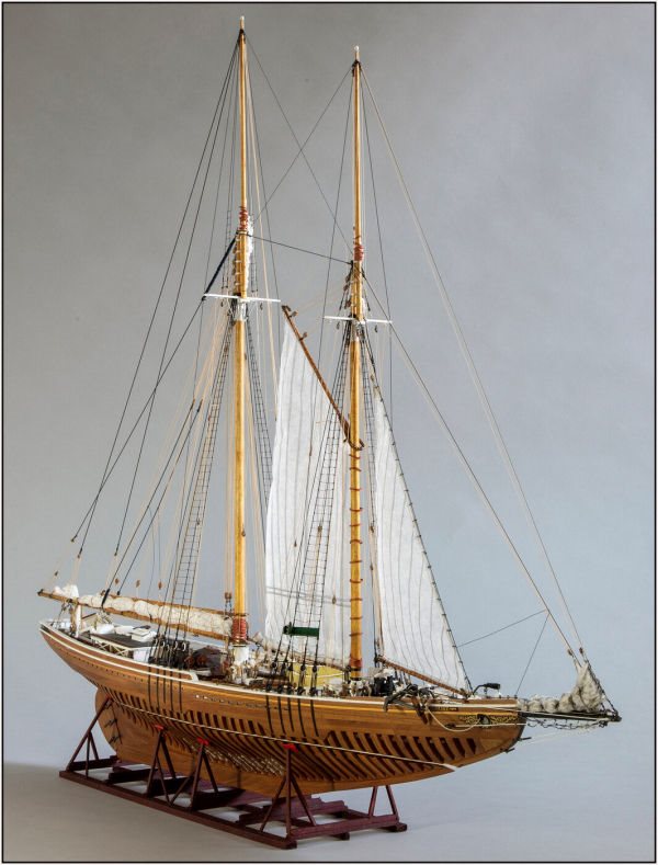 Image of Yuanqing Bluenose