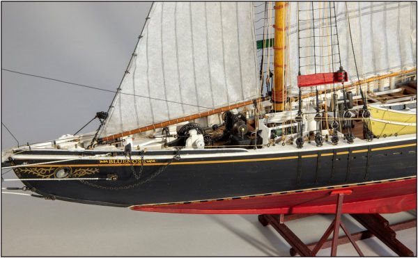Image of Yuanqing Bluenose