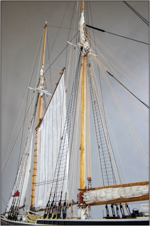 Image of Yuanqing Bluenose