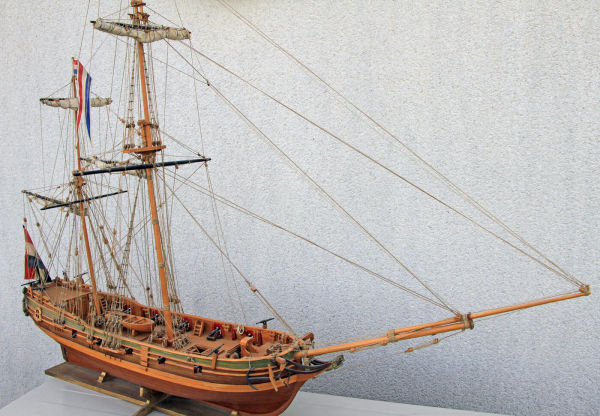 Image of Dolphyn
