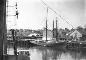 18651.jpg