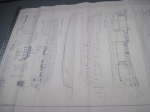IMG_4514.JPG
