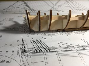 IMG_3718.JPG